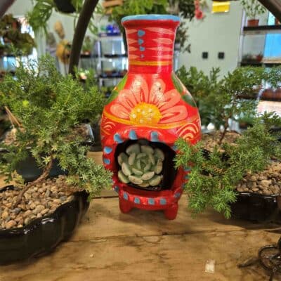 chimenea planter with bonsai